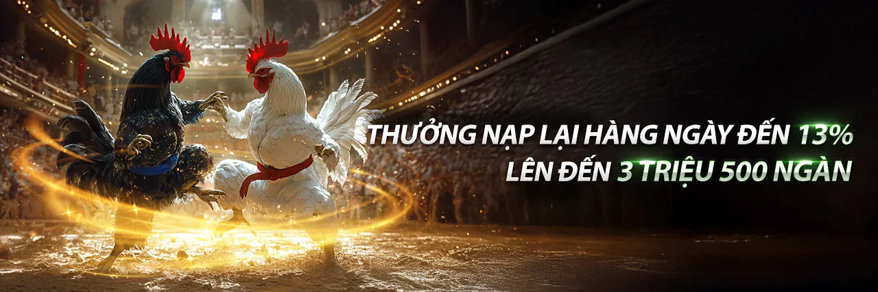 Đá Gà Trực Tuyến Hấp Dẫn tại ffok81 nhà cái